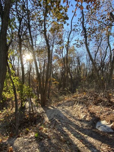 Hempstead Harbor Woods Mountain Bike Trails - Port Washington, NY