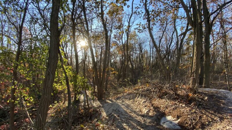Hempstead Harbor Woods Mountain Bike Trails - Port Washington, NY