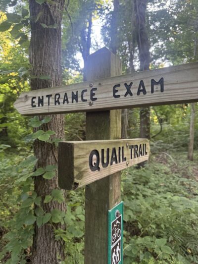 Hempstead Harbor Woods Mountain Bike Trails - Port Washington, NY