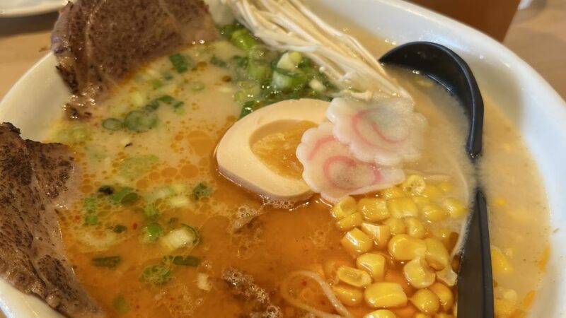 Ikedo Ramen - Port Washington, NY