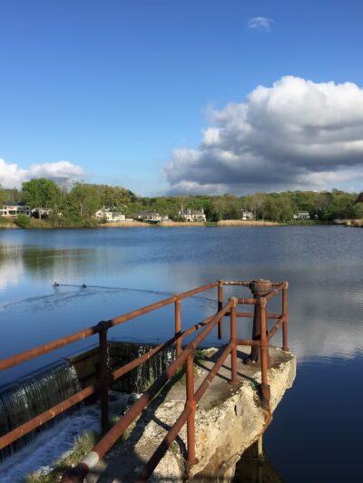 Leeds Pond Preserve - Port Washington, NY