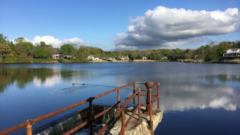 Leeds Pond Preserve - Port Washington, NY