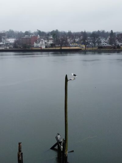 Manhasset Bay Marina - Port Washington, NY