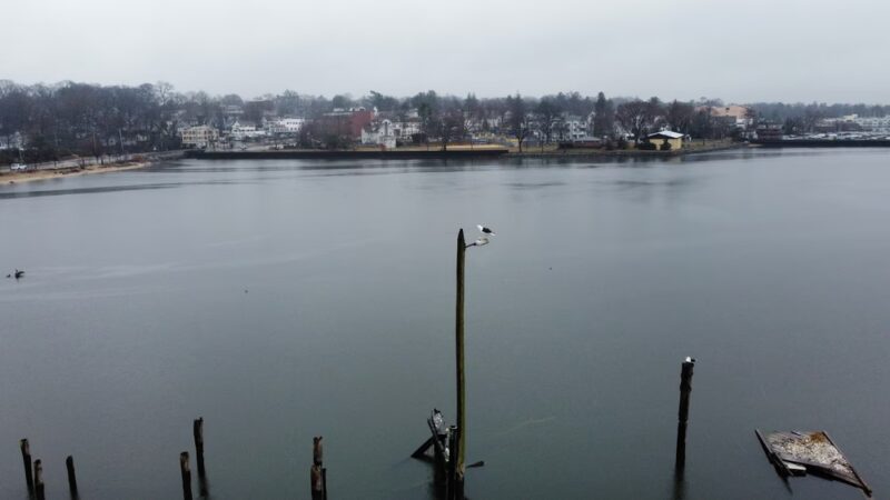 Manhasset Bay Marina - Port Washington, NY