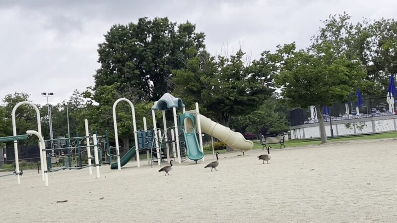 Manorhaven Beach Park & Pool - Port Washington, NY