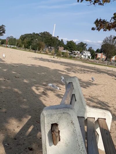 Manorhaven Town Park - Port Washington, NY