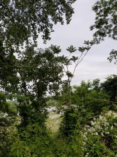 North Hempstead Residential Drop-Off - Port Washington, NY