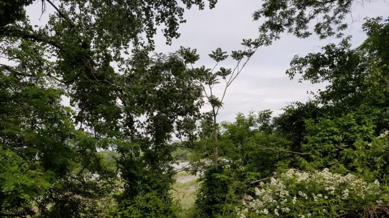 North Hempstead Residential Drop-Off - Port Washington, NY
