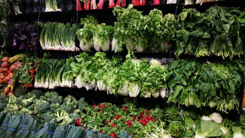 North Shore Farms - Port Washington, NY