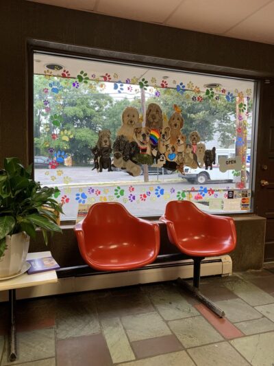 Port Washington Animal Hospital - Port Washington, NY
