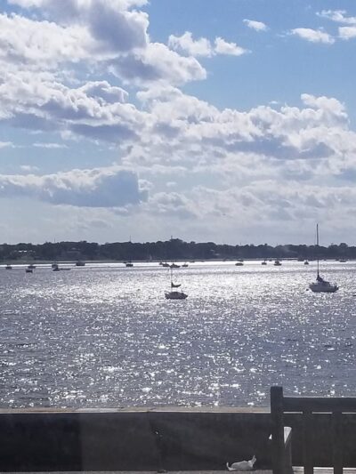 Town Dock - Port Washington, NY