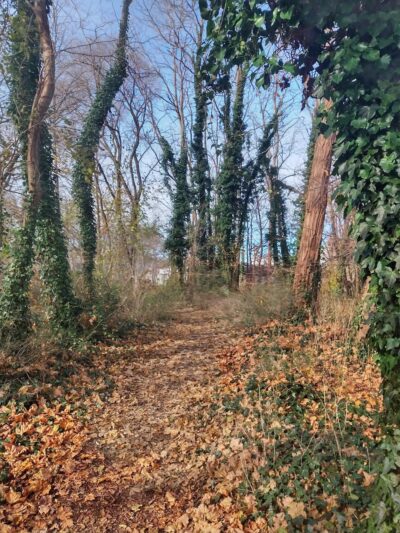 Manorhaven Preserve - Port Washington, NY