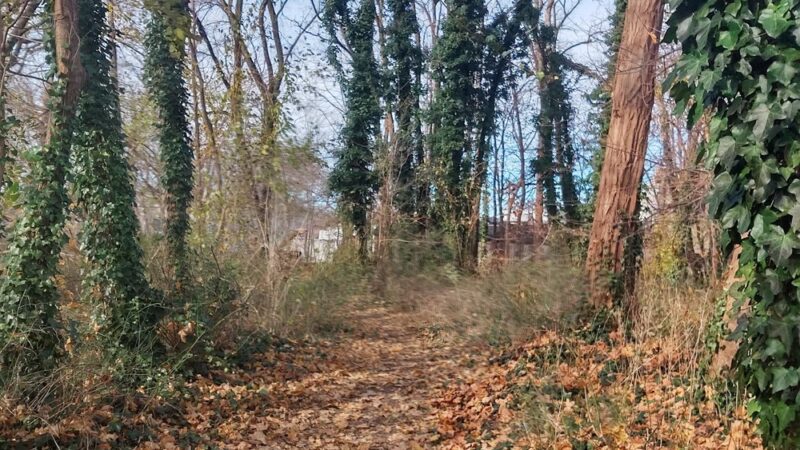 Manorhaven Preserve - Port Washington, NY