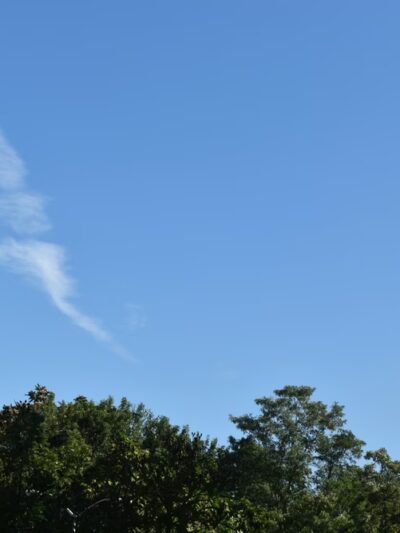 Manorhaven Preserve - Port Washington, NY