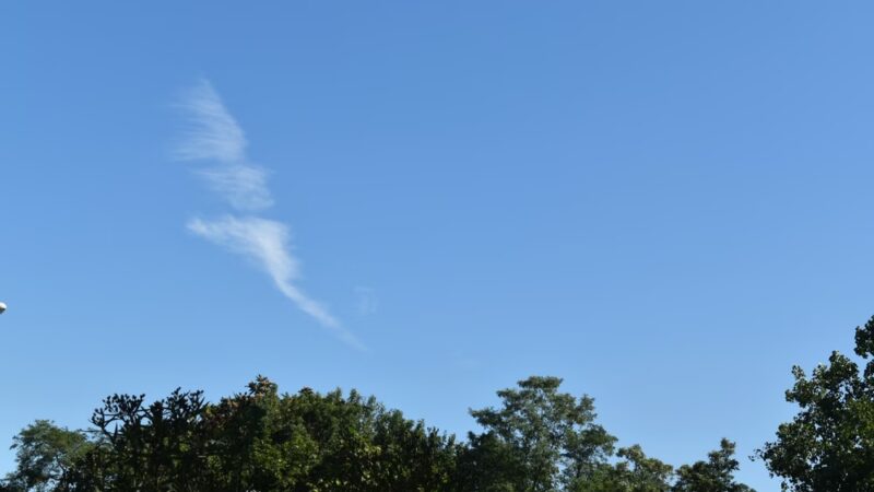 Manorhaven Preserve - Port Washington, NY