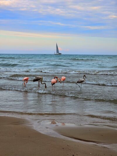 Port Washington South Beach Park - Port Washington, WI