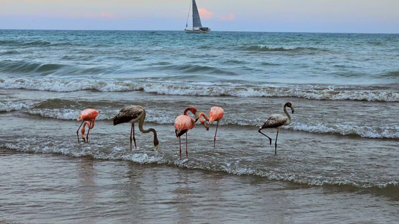 Port Washington South Beach Park - Port Washington, WI