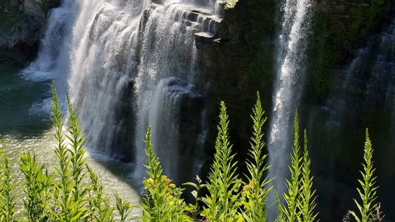 Wiscoy Falls - Portageville, NY