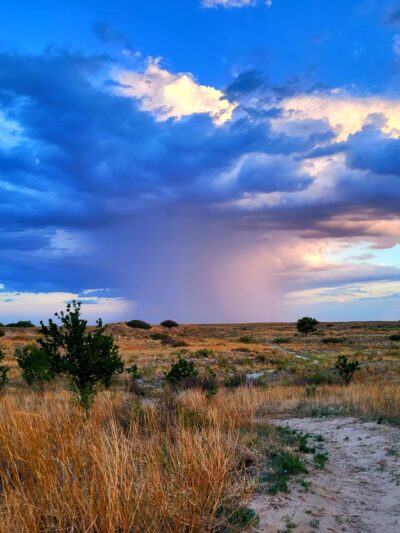 Oasis State Park - Portales, NM