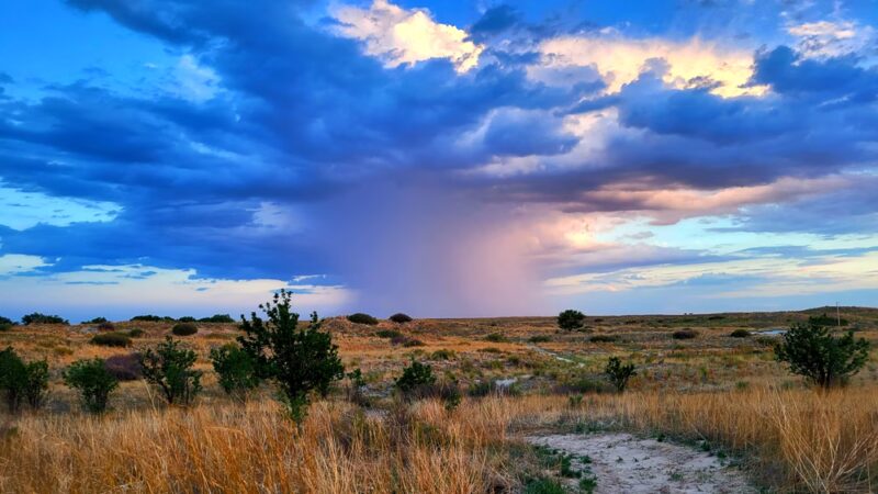Oasis State Park - Portales, NM