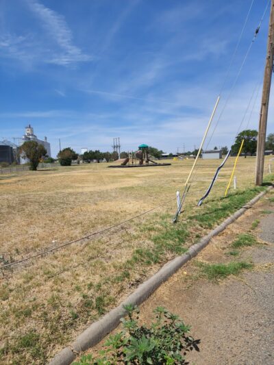 La Buena Vida Park - Portales, NM