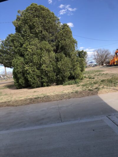 Rotary Park - Portales, NM