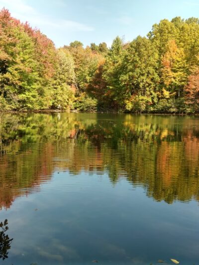 Glacier Ridge Trail - Portersville, PA