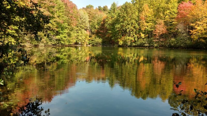 Glacier Ridge Trail - Portersville, PA