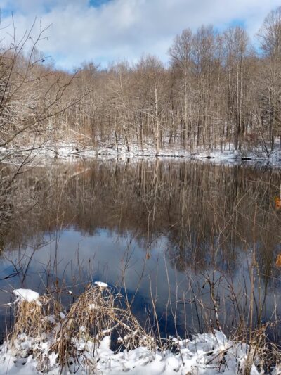 Glacier Ridge Trail - Portersville, PA