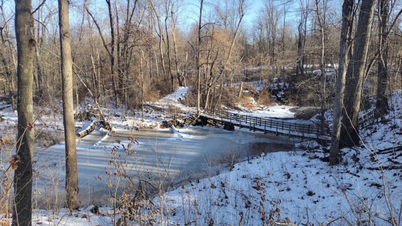 Glacier Ridge Trail - Portersville, PA