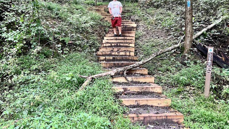 Glacier Ridge Trail - Portersville, PA