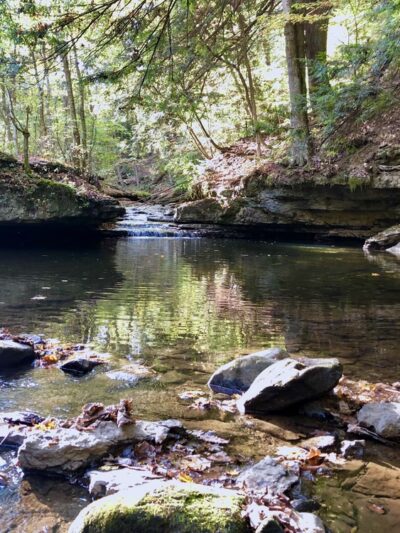 Hell's Hollow - Portersville, PA