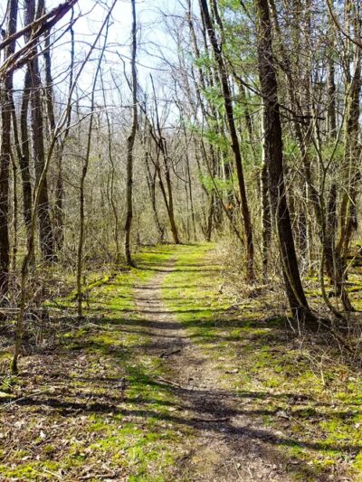 Hilltop Trail - Portersville, PA