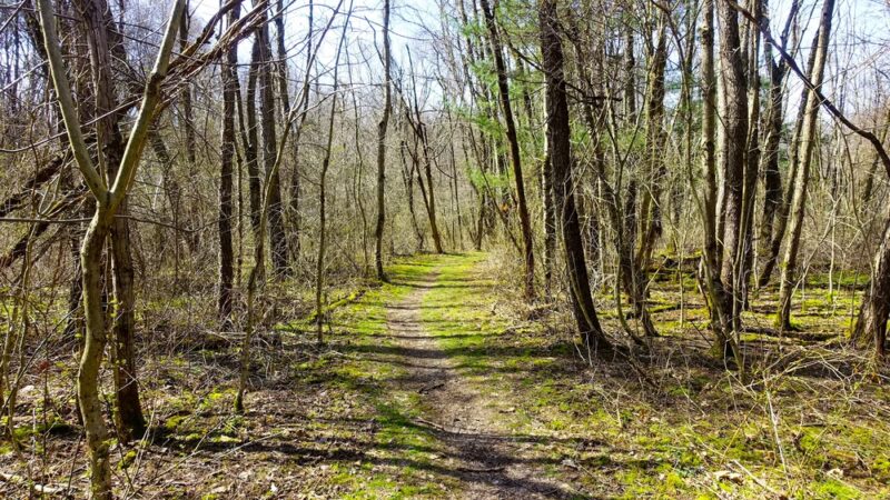 Hilltop Trail - Portersville, PA