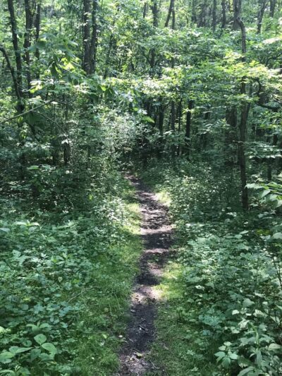 Hilltop Trail - Portersville, PA