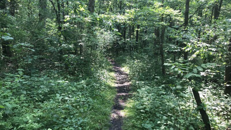Hilltop Trail - Portersville, PA