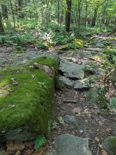 Moraine Mountain Bike Trail, Spurk Lot - Portersville, PA