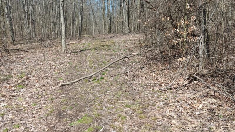 Moraine Mountain Bike Trail, Spurk Lot - Portersville, PA