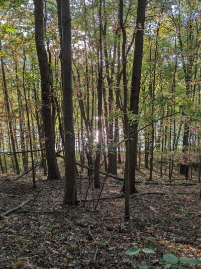 Moraine Mountain Bike Trail, Spurk Lot - Portersville, PA
