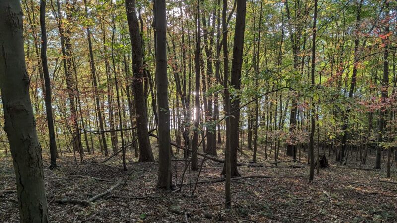 Moraine Mountain Bike Trail, Spurk Lot - Portersville, PA