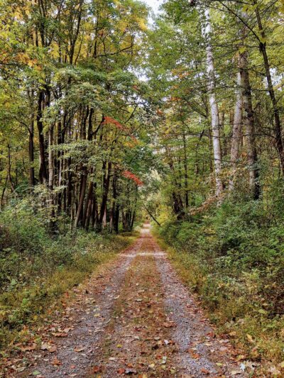 Moraine State Park - Portersville, PA