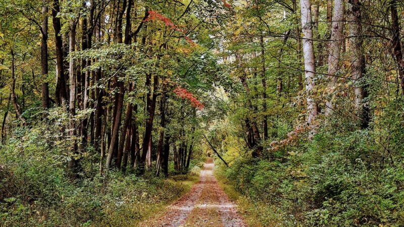 Moraine State Park - Portersville, PA