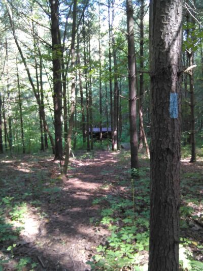 North Country Trail Camelot Road Trailhead - Portersville, PA