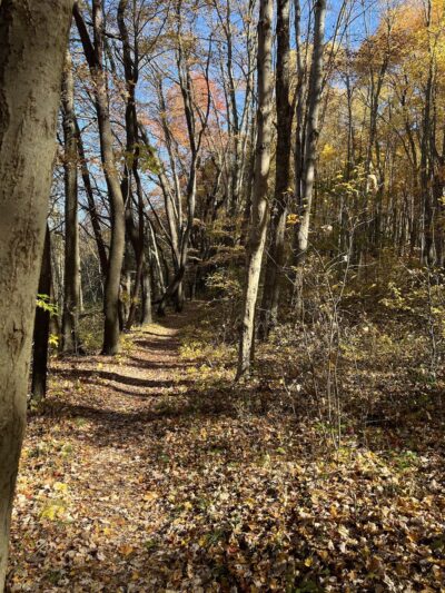 North Country Trail Hidden River Trailhead - Portersville, PA