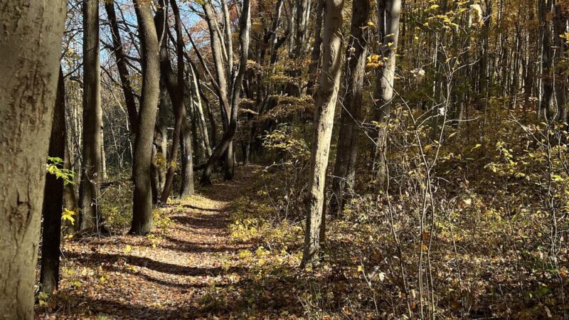 North Country Trail Hidden River Trailhead - Portersville, PA