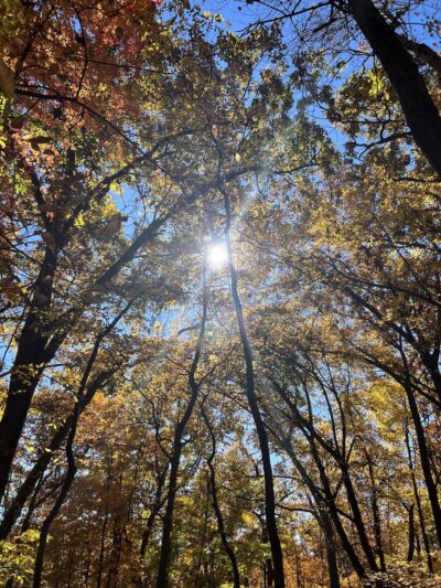 North Country Trail Hidden River Trailhead - Portersville, PA