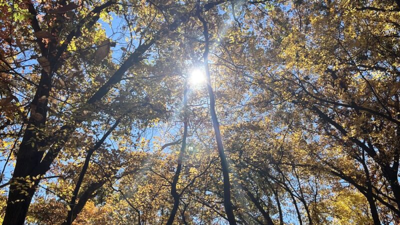 North Country Trail Hidden River Trailhead - Portersville, PA