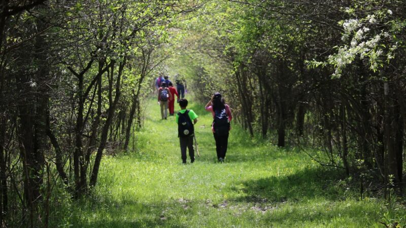 Pleasant Valley Trail - Portersville, PA