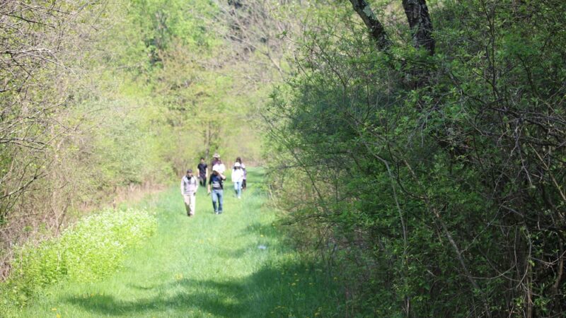 Pleasant Valley Trail - Portersville, PA