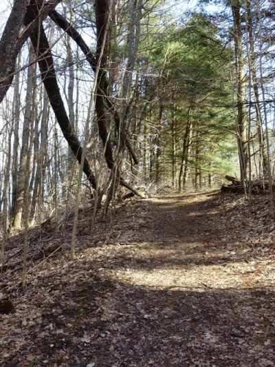 Sunken Garden Trail - Portersville, PA